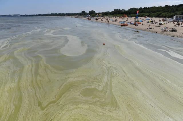 Czy można się kąpać w Bałtyku? Uważaj na sinice i zamknięte plaże Czy można się kąpać w Bałtyku? Uważaj na sinice i zamknięte plaże
