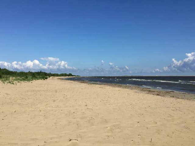 Mikoszewo ile do morza? Sprawdź, jak łatwo dojść do plaży Mikoszewo ile do morza? Sprawdź, jak łatwo dojść do plaży