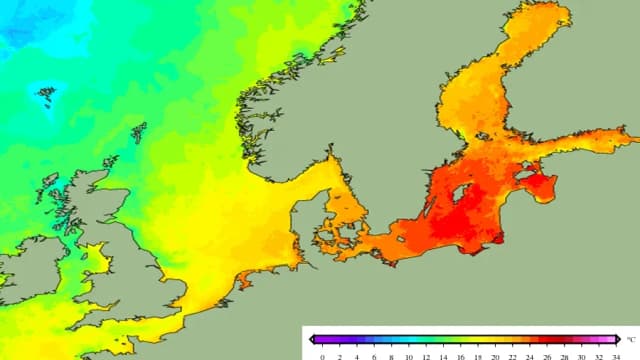 Bałtyk ile stopni - aktualne temperatury wody na polskim wybrzeżu Bałtyk ile stopni - aktualne temperatury wody na polskim wybrzeżu