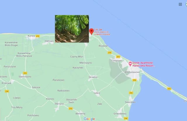 Jak dojechać z Jastrzębiej Góry na Hel - szybkie i tanie opcje podróży Jak dojechać z Jastrzębiej Góry na Hel - szybkie i tanie opcje podróży